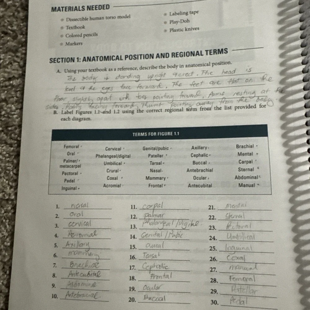 BIO 236 Human Anatomy And physiology Laboratory Manual 2025-2026 *READ*